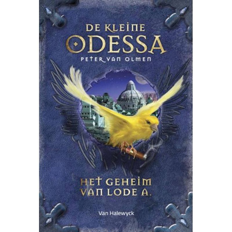 Foto van Het geheim van lode a - de kleine odessa