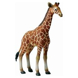 Foto van Collecta wilde dieren girafkalf 9 x 3 x 12.5 cm