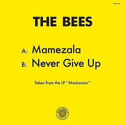 Foto van Mamezela/never give up - 12 inch vinyl;12 inch vinyl (2090405420778)