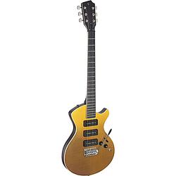 Foto van Stagg silveray series nash deluxe shading sunburst