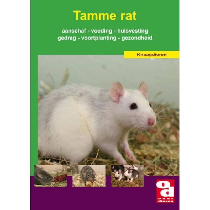 Foto van De tamme rat - over dieren