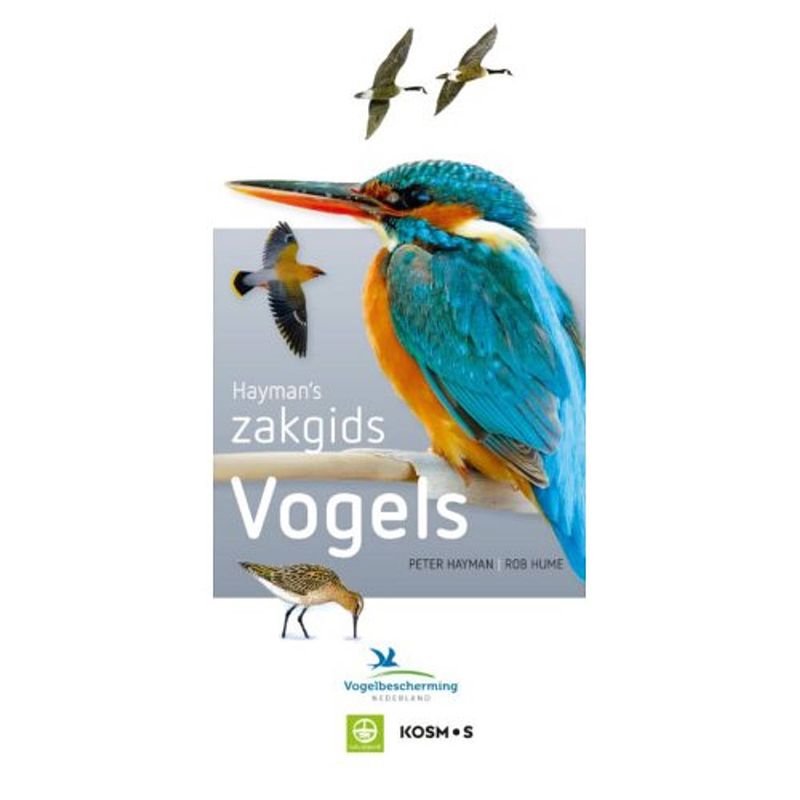 Foto van Hayman's zakgids vogels