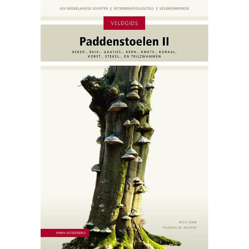 Foto van Paddenstoelen ii