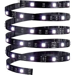 Foto van Paulmann yourled eco 70430 led-strip basisset met connector (male) 12 v 3 m rgb