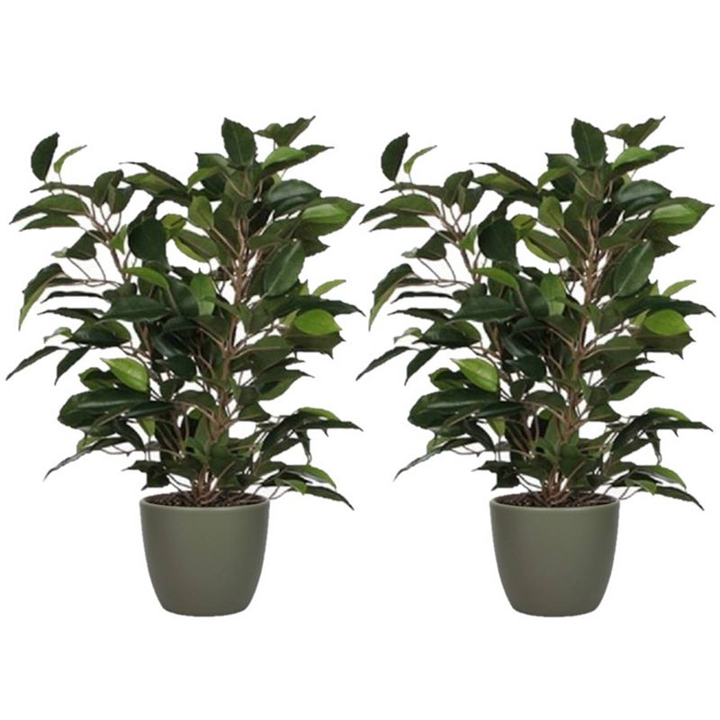 Foto van 2x stuks groene ficus kunstplant 40 cm met plantenpot dennengroen d13.5 en h12.5 cm - kunstplanten