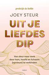 Foto van Uit je liefdesdip - joey steur - ebook