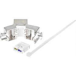 Foto van Renkforce cat 6a rj45-inbouwmodule afgeschermde behuizing keystone