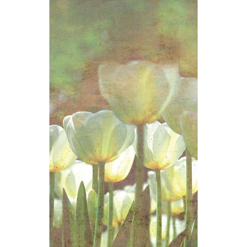 Foto van Dimex white tulips abstract fotobehang 150x250cm 2-banen