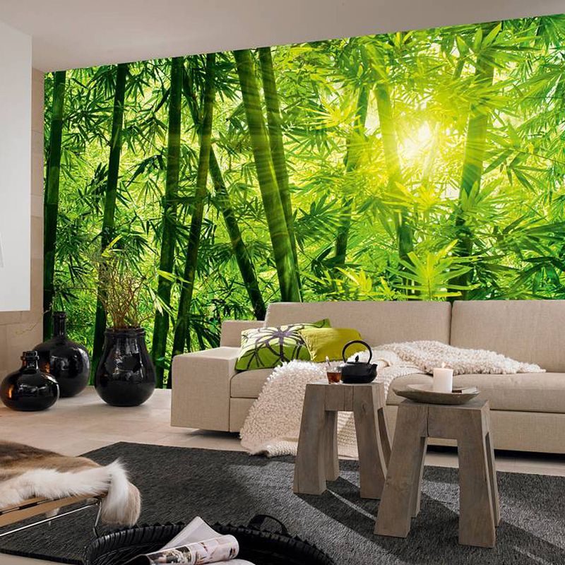 Foto van Fotobehang bamboo forest (366 x 254 cm)