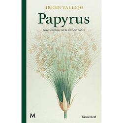 Foto van Papyrus