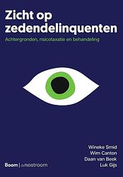 Foto van Zicht op zedendelinquenten - daan van beek, luk gijs, wim canton, wineke smid - ebook (9789024430864)