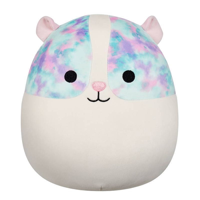 Foto van Squishmallows knuffel rhys de meerkleurige cavia - 30 cm