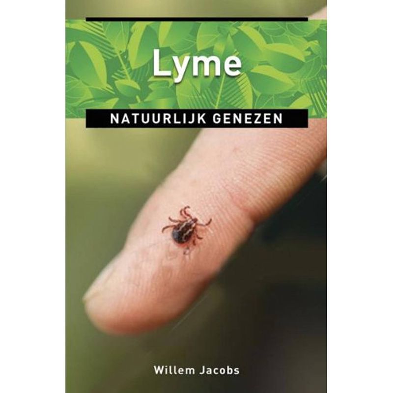 Foto van Lyme - ankertjes