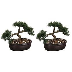Foto van Set van 2x stuks atmosphera bonsai in keramische pot 23 cm - kunstplanten