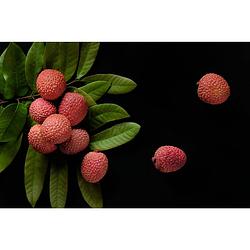 Foto van Inductiebeschermer - lychee - 59x51 cm