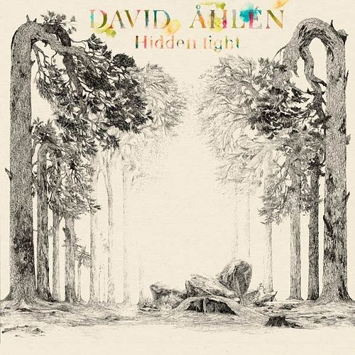 Foto van Hidden light - cd (8715511500704)