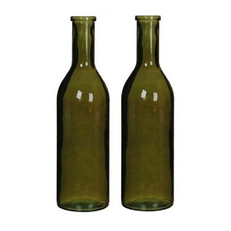 Foto van 2x glazen fles / vaas groen 50 x 15 cm - vazen