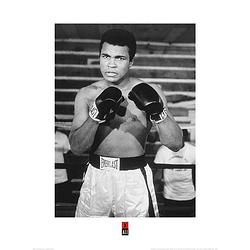 Foto van Pyramid muhammad ali pose kunstdruk 60x80cm