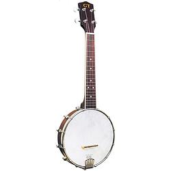 Foto van Gold tone bu-1 banjolele met element, inclusief draagtas