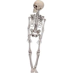 Foto van Halloween - hangende horror decoratie skelet 42 cm - halloween poppen