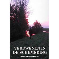 Foto van Verdwenen in de schemering