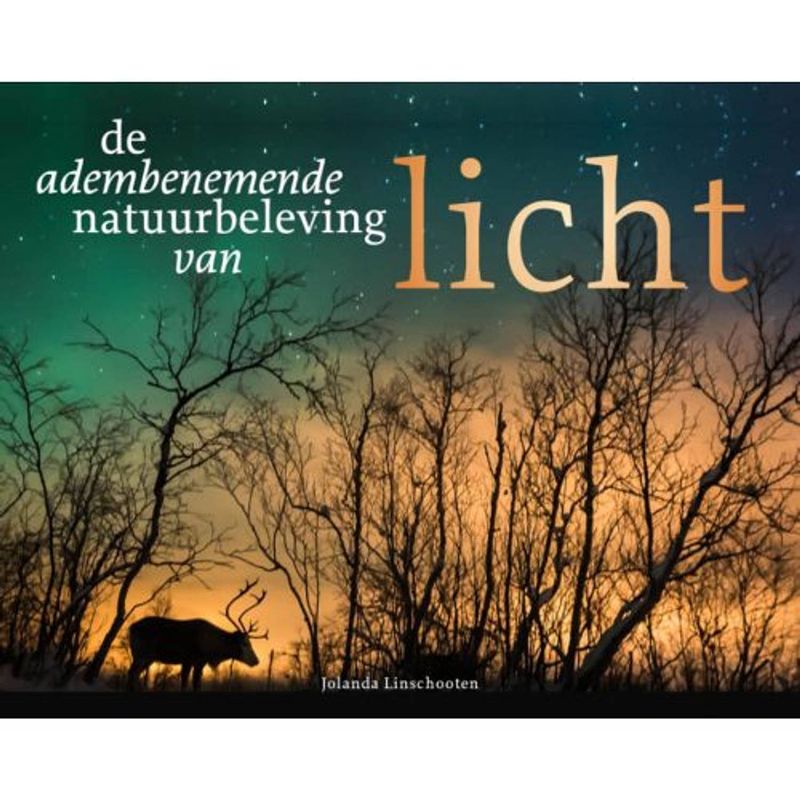 Foto van Licht