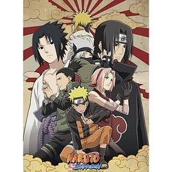 Foto van Abystyle naruto shippuden shippuden group nr 2 poster 38x52cm