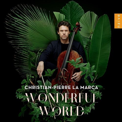 Foto van Wonderful world - cd (3700187673628)