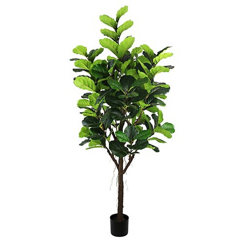 Foto van Ficus lyrata 210 cm kunstplant buitengewoon de boet