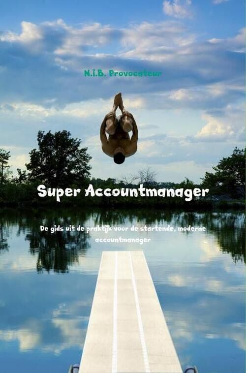 Foto van Super accountmanager - n.i.b. provocateur - ebook (9789463670517)