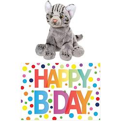 Foto van Cadeau setje pluche grijze kat/poes knuffel 12 cm met happy birthday wenskaart - knuffel huisdieren