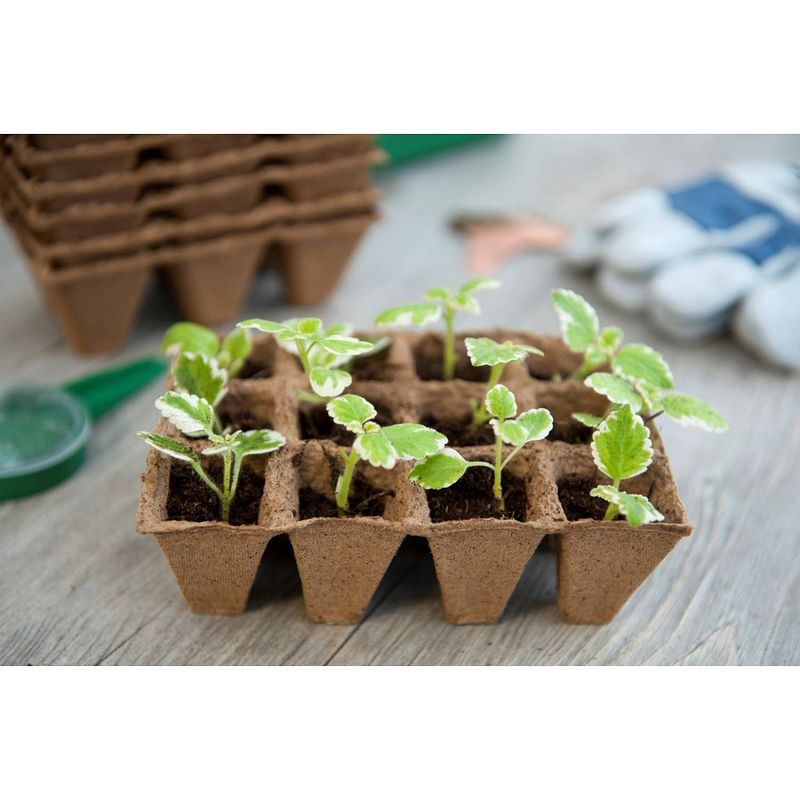 Foto van 2 stuks turfpottrays h5x4x4cm set a 6 trays van 12 stuks nature