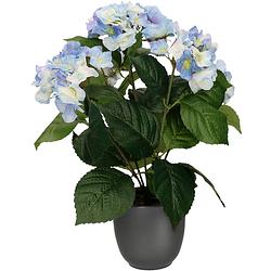 Foto van Hortensia kunstplant/kunstbloemen 40 cm - blauw - in pot mat zwart - kunstplanten