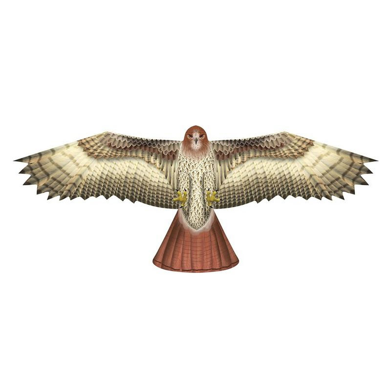 Foto van Havik roofvogel vlieger 112 x 50 cm - vliegers
