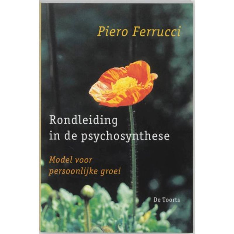 Foto van Rondleiding in de psychosynthese