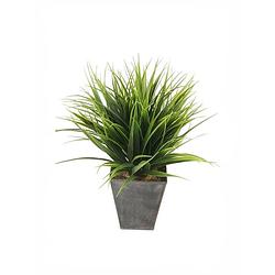 Foto van Kunstplant grass bush grasplant in zwarte zinken pot 30 cm - kunstplanten