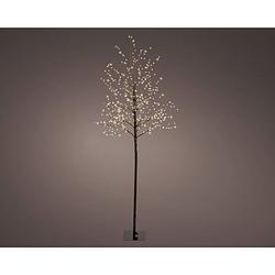 Foto van Lumineo - micro led boom d30h150 cm zwart/wit kerstverlichting