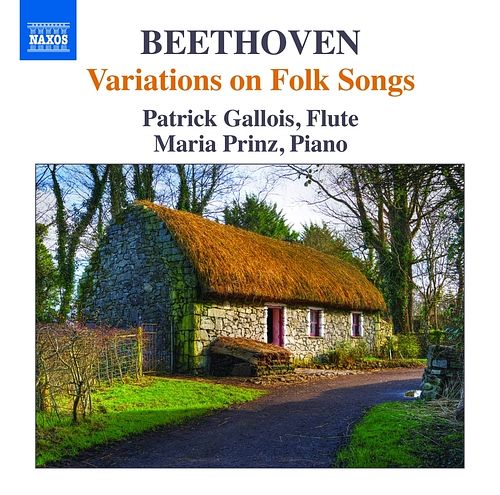 Foto van Variations on folk song - cd (0747313333776)