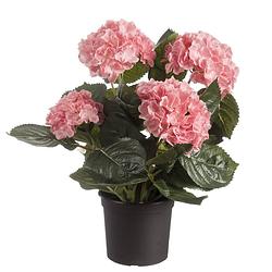 Foto van Roze hortensia hydrangea kunstplant in zwarte kunststof pot 44 cm - kunstplanten