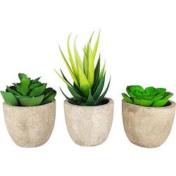 Foto van Greendream® kunstplanten - kamerplanten - nep planten - vetplanten - 3 stuks - kunstplant - cadeautip