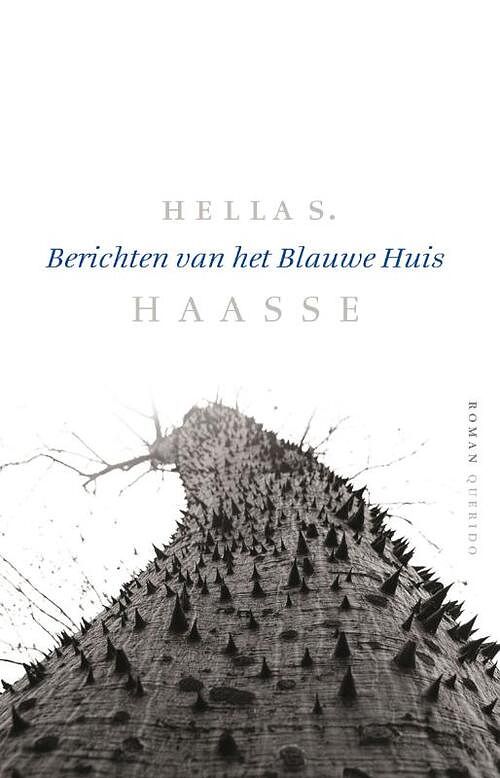 Foto van Berichten van het blauwe huis - hella s. haasse - ebook (9789021441924)