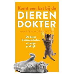 Foto van Komt een kat bij de dierendokter