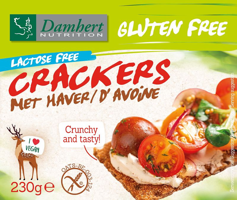 Foto van Damhert gluten free haver crackers lactose free