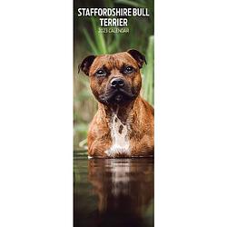 Foto van Staffordshire bull terrier kalender 2023 slimline