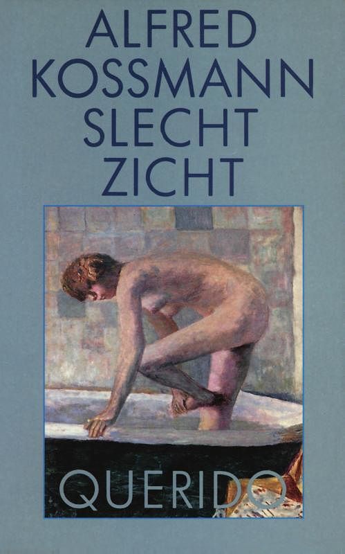 Foto van Slecht zicht - alfred kossmann - ebook (9789021444994)