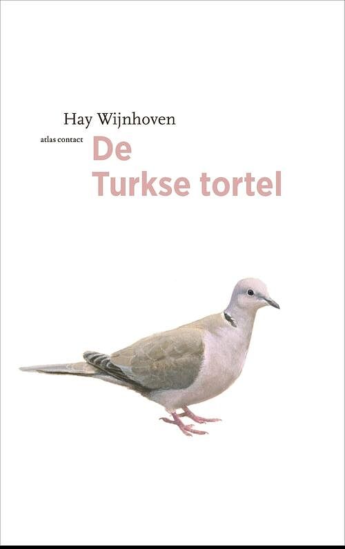 Foto van De turkse tortel - hay wijnhoven - ebook (9789045040370)