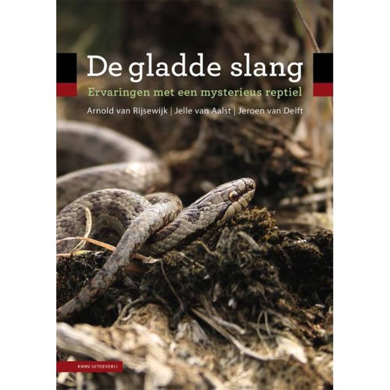 Foto van De gladde slang