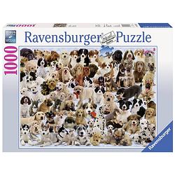 Foto van Ravensburger puzzel hondencollage - 1000 stukjes