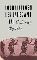 Foto van Een langzame val - toon tellegen - ebook (9789021449302)