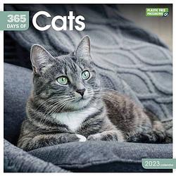 Foto van 365 days cats kalender 2023